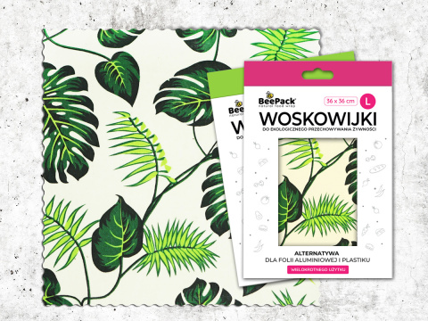Liść Monstery - Woskowijka Liść Monstery - Woskowijka