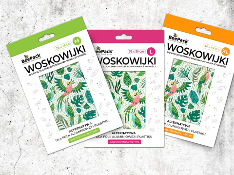 Papugi - Woskowijki zimowe Papugi - Woskowijki zimowe